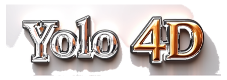 yolo 4d logo